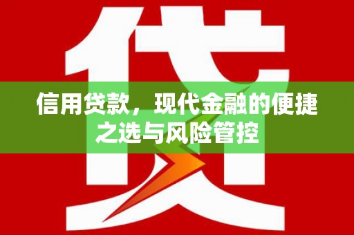 普格信用贷款，现代金融的便捷之选与风险管控