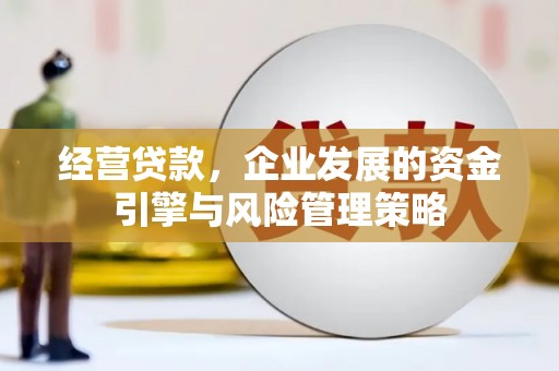 镜湖经营贷款，企业发展的资金引擎与风险管理策略