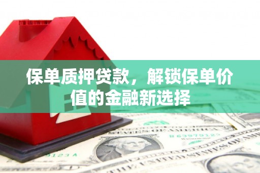 隆回保单质押贷款，解锁保单价值的金融新选择