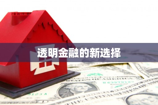 沙湾透明金融的新选择