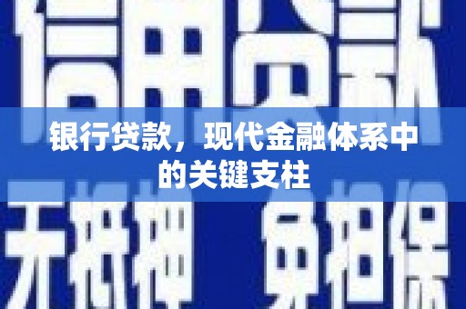 龙游银行贷款，现代金融体系中的关键支柱
