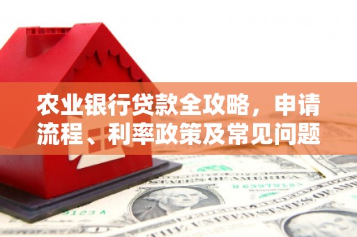 六甲农业银行贷款全攻略，申请流程、利率政策及常见问题解析