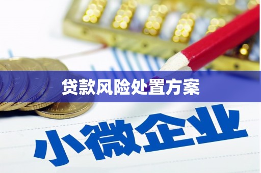 巩义贷款风险处置方案
