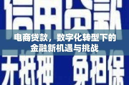全南电商贷款，数字化转型下的金融新机遇与挑战