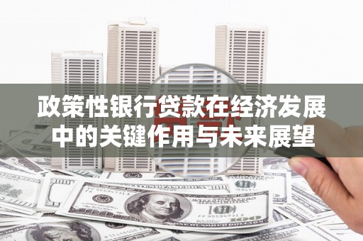 阆中政策性银行贷款在经济发展中的关键作用与未来展望