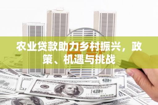 安居农业贷款助力乡村振兴，政策、机遇与挑战