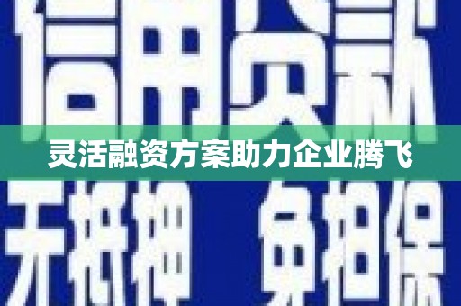 盐田灵活融资方案助力企业腾飞