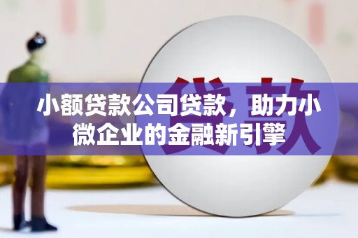 宣汉小额贷款公司贷款，助力小微企业的金融新引擎