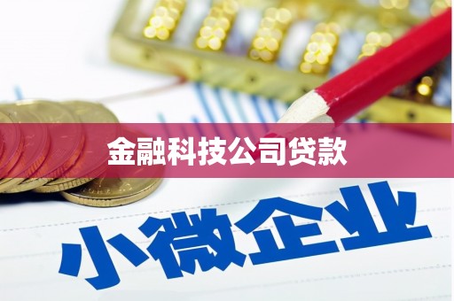 通山金融科技公司贷款