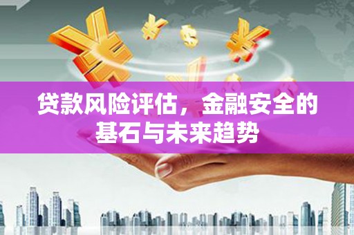 丽水贷款风险评估，金融安全的基石与未来趋势