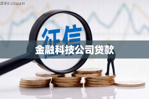 麻山金融科技公司贷款