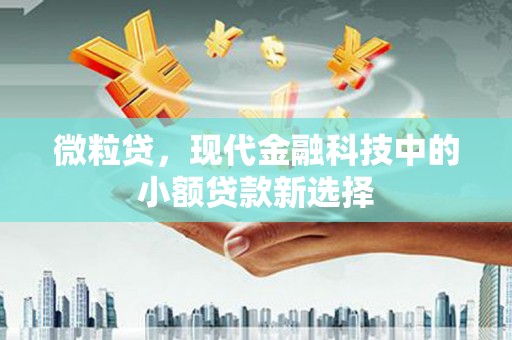 深坑微粒贷，现代金融科技中的小额贷款新选择