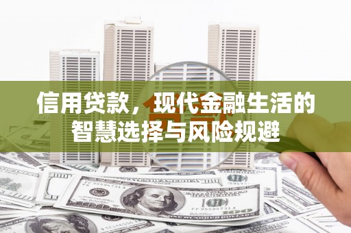 雾峰信用贷款，现代金融生活的智慧选择与风险规避