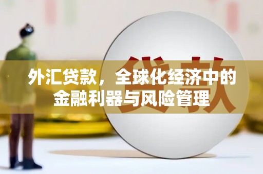 方山外汇贷款，全球化经济中的金融利器与风险管理