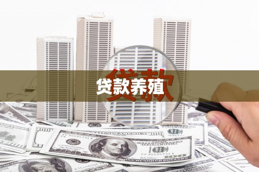 澎湖贷款养殖