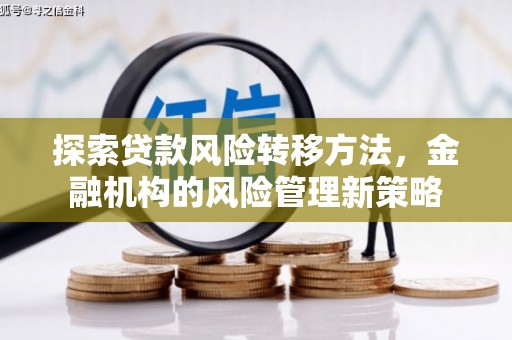 东西湖探索贷款风险转移方法，金融机构的风险管理新策略