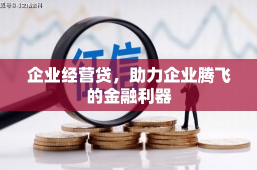 横县企业经营贷，助力企业腾飞的金融利器