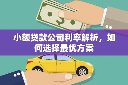 洮南小额贷款公司利率解析，如何选择最优方案