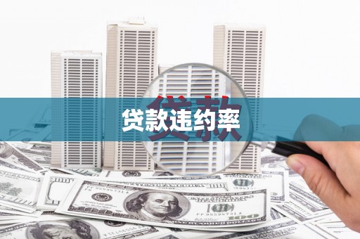 迭部贷款违约率