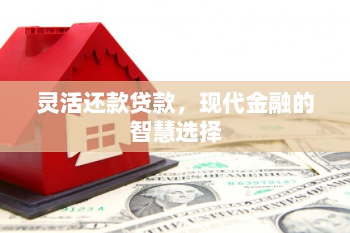 官渡灵活还款贷款，现代金融的智慧选择