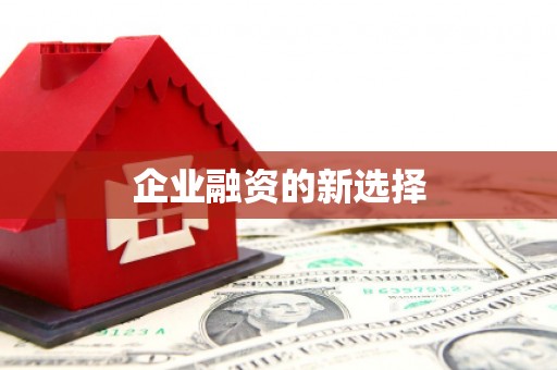 东乌旗企业融资的新选择