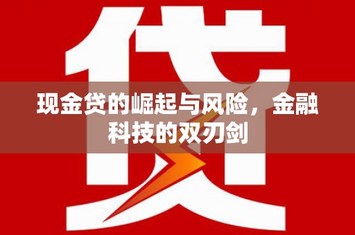 永登现金贷的崛起与风险，金融科技的双刃剑