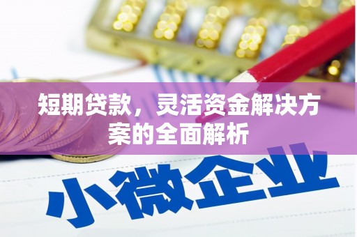 云和短期贷款，灵活资金解决方案的全面解析