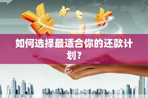 苍溪如何选择最适合你的还款计划？
