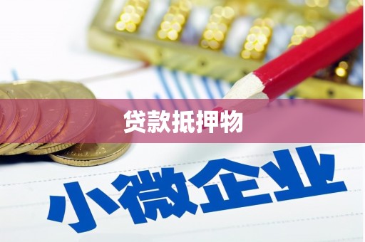 西吉贷款抵押物