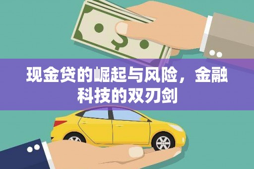 浦江现金贷的崛起与风险，金融科技的双刃剑