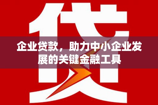平舆企业贷款，助力中小企业发展的关键金融工具