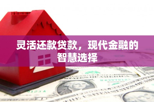 大林灵活还款贷款，现代金融的智慧选择
