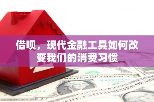 成安借呗，现代金融工具如何改变我们的消费习惯