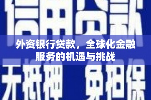 忠县外资银行贷款，全球化金融服务的机遇与挑战