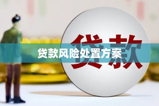 海东贷款风险处置方案