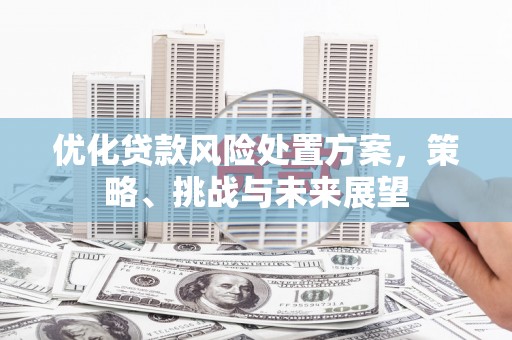 西市优化贷款风险处置方案，策略、挑战与未来展望