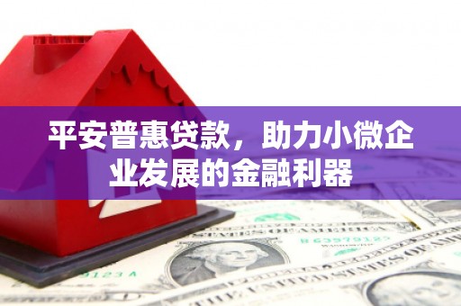 进贤平安普惠贷款，助力小微企业发展的金融利器