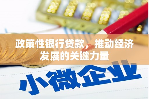 红岗政策性银行贷款，推动经济发展的关键力量