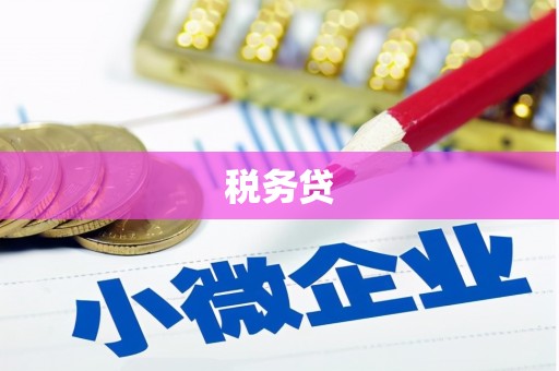 邓州税务贷