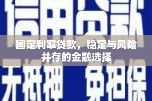 芦淞固定利率贷款，稳定与风险并存的金融选择