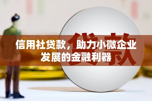 新北信用社贷款，助力小微企业发展的金融利器