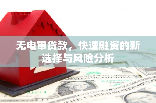 岫岩无电审贷款，快速融资的新选择与风险分析