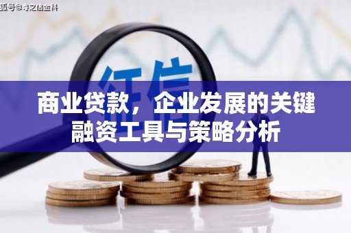 宁乡商业贷款，企业发展的关键融资工具与策略分析