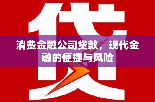 儋州消费金融公司贷款，现代金融的便捷与风险