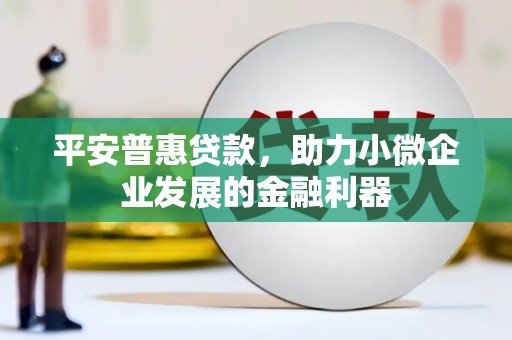 武山平安普惠贷款，助力小微企业发展的金融利器