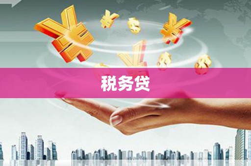 岳池税务贷
