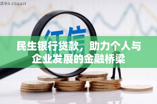 大洼民生银行贷款，助力个人与企业发展的金融桥梁