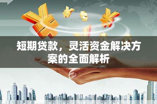 龙城短期贷款，灵活资金解决方案的全面解析