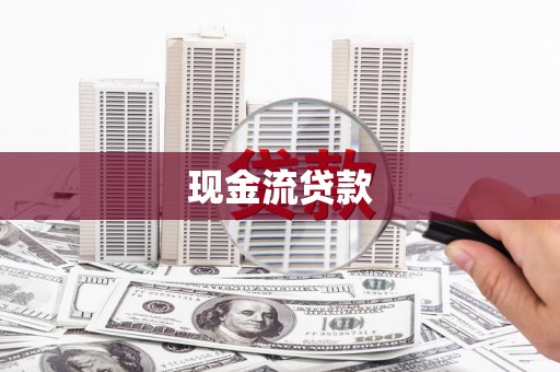 大武现金流贷款