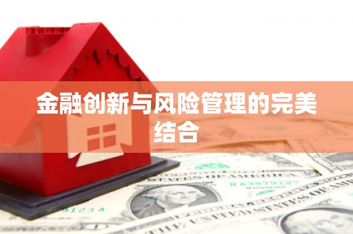 社旗金融创新与风险管理的完美结合